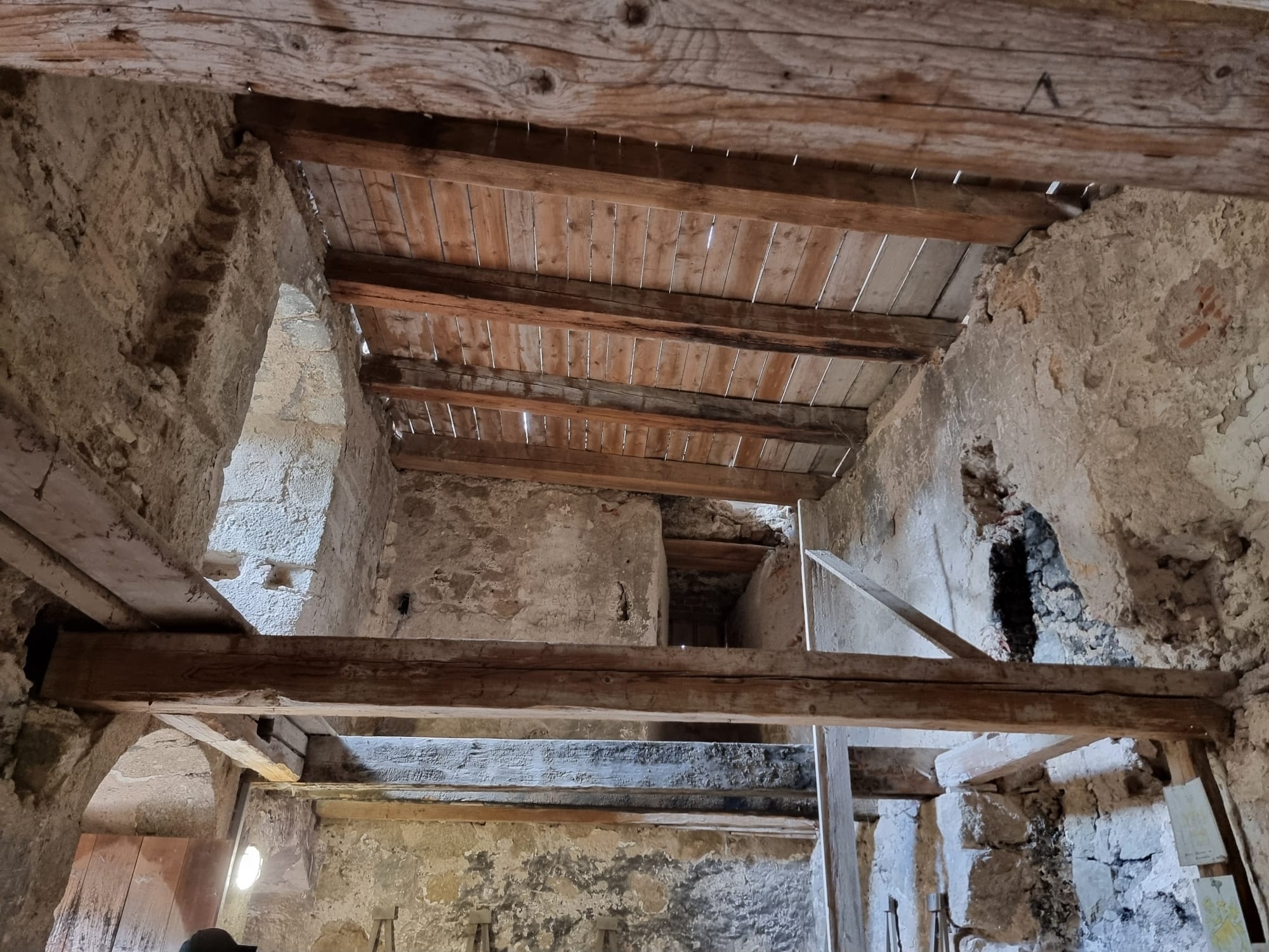 Vergrößerbares Bild